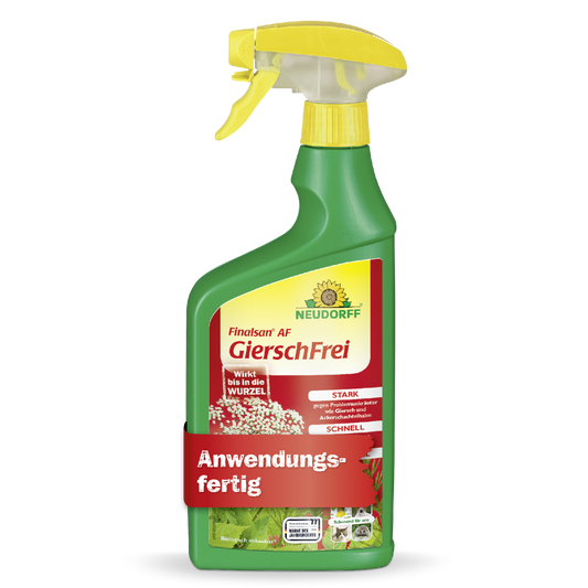 Finalsan AF GierschFrei