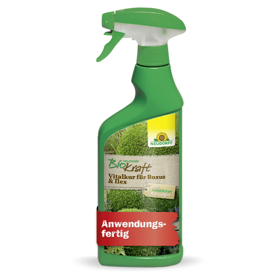 Neudorff BioKraft Vitalkur für Buxus & Ilex AF