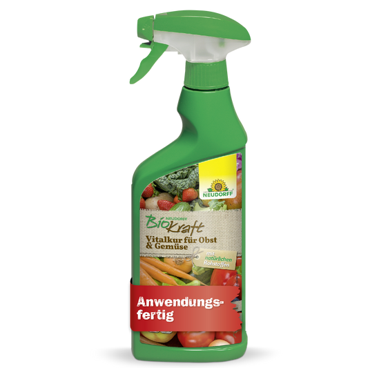 Neudorff BioKraft Vitalkur für Obst & Gemüse AF