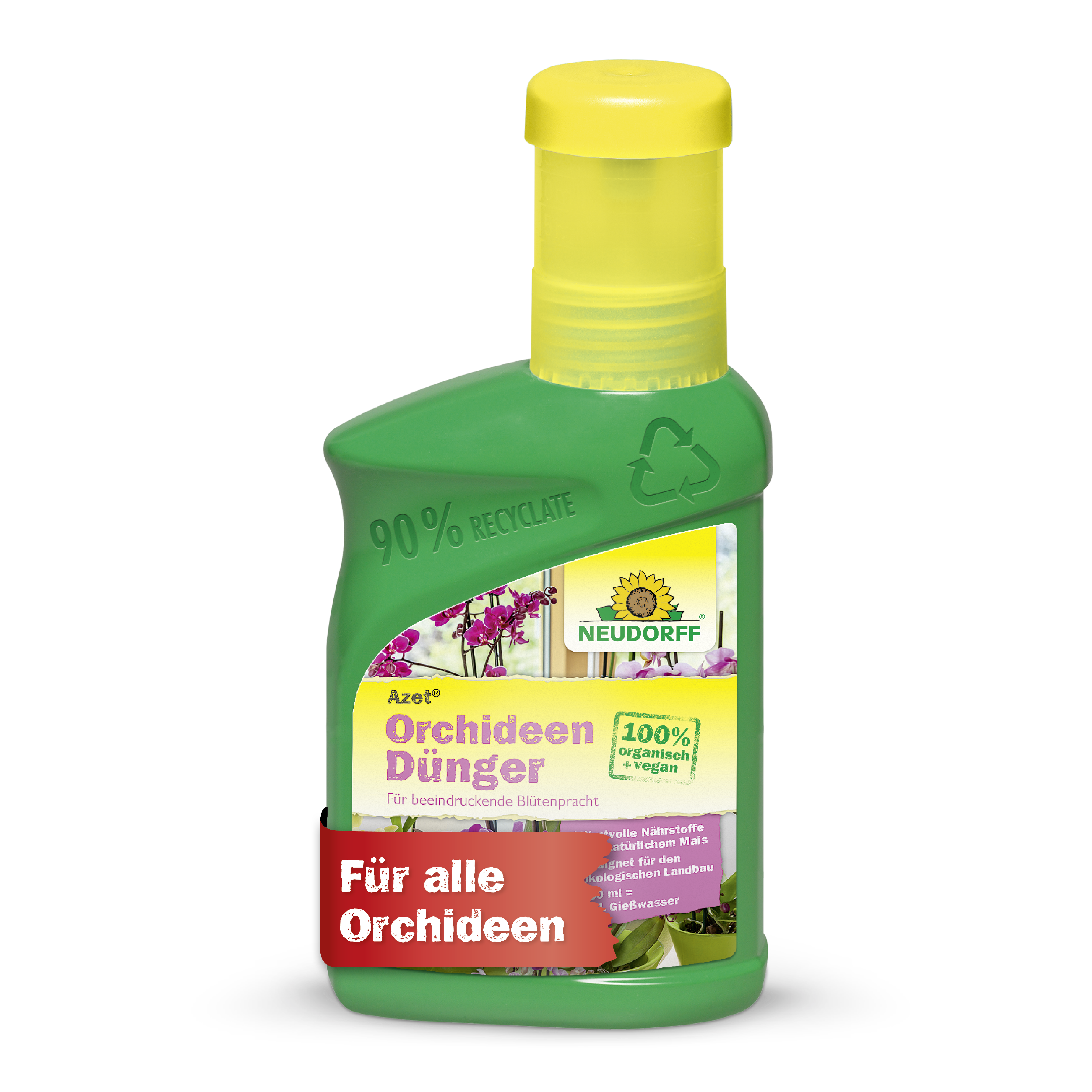 hortensien dünger flüssig Flüssigdünger für Hortensien