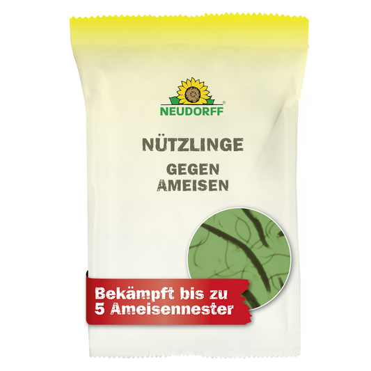 Nützlinge gegen Ameisen