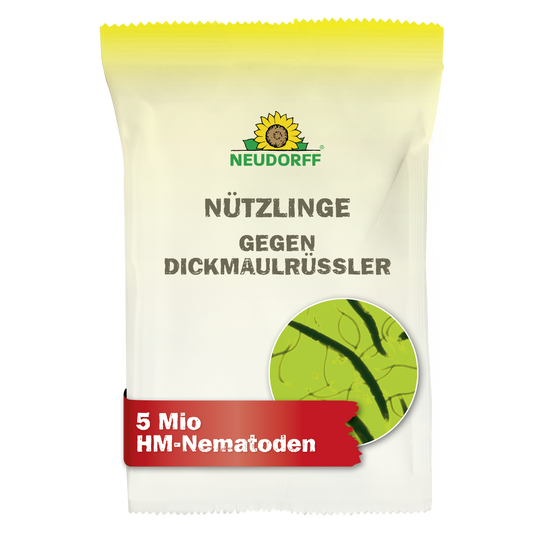 Nützlinge gegen Dickmaulrüssler