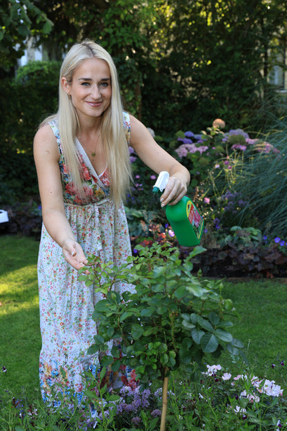 Blütenpracht und Ernteglück – Dein Weg zum Traumgarten