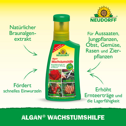 Algan Wachstumshilfe