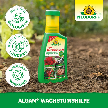 Algan Wachstumshilfe