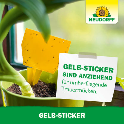 Gelb-Sticker