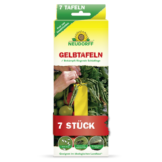 Gelbtafeln (kleinformatig)