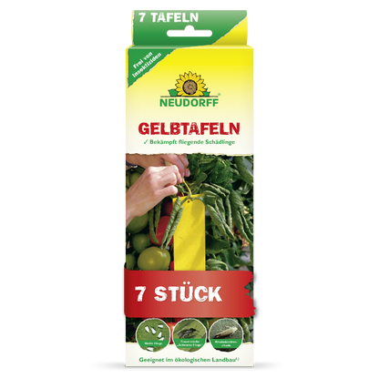 Gelbtafeln (kleinformatig)