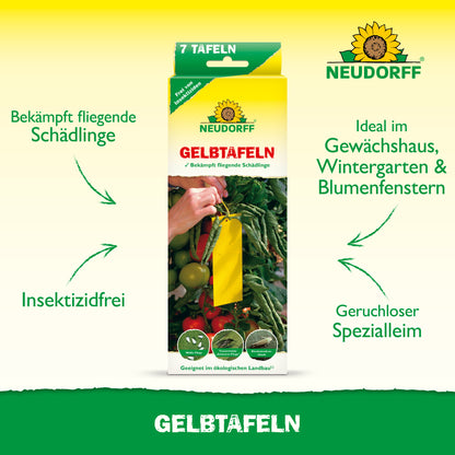 Gelbtafeln (kleinformatig)