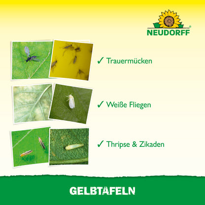 Gelbtafeln (kleinformatig)