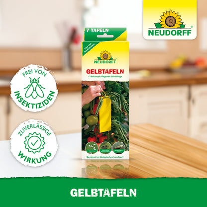 Gelbtafeln (kleinformatig)