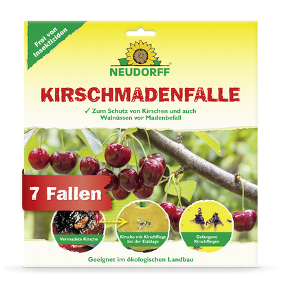 KirschmadenFalle