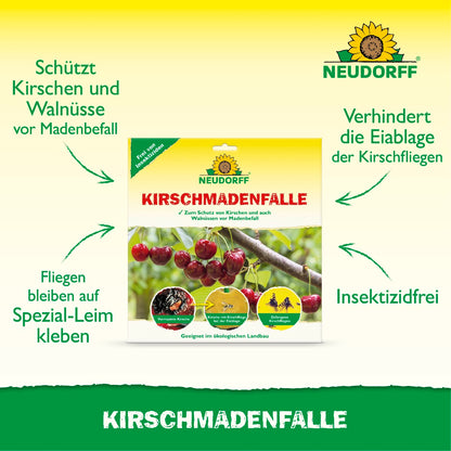 KirschmadenFalle