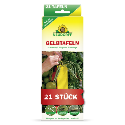 Gelbtafeln (kleinformatig)