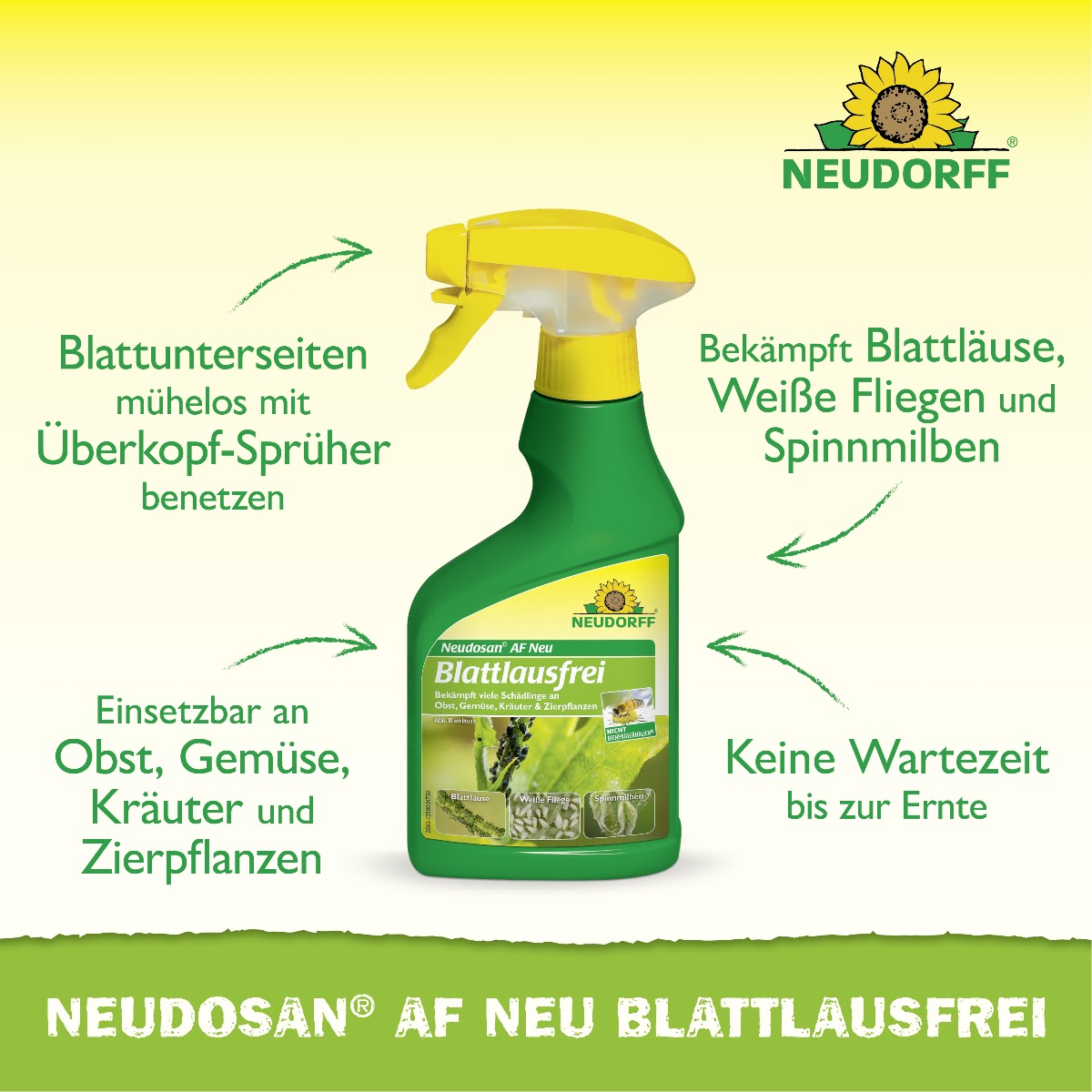 Neudosan AF Neu Blattlausfrei 
Bekämpft Blattläuse, Weiße Fliegen und Spinnenmilben
Keine Wartezeit bis zur Ernte
Einsetzbar an Obst, Gemüse, Kräuter und Zierpflanzen
Blatt Unterseiten mühelos mit dem Überkopf-Sprüher benetzen