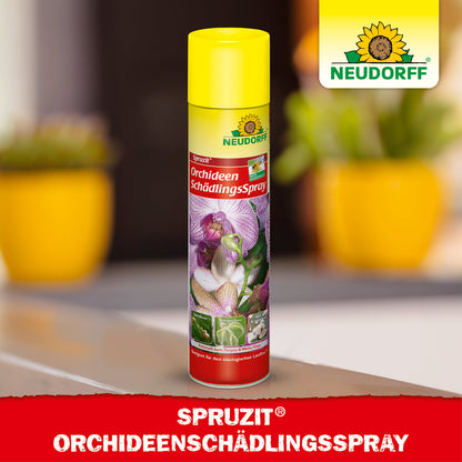 Spruzit OrchideenSchädlingsSpray