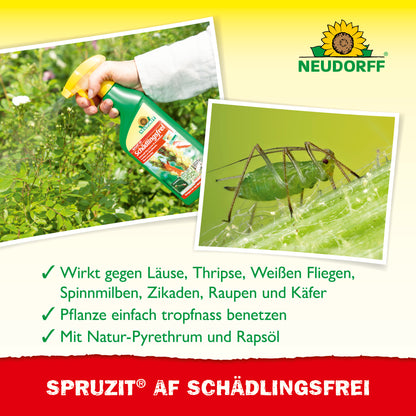 Spruzit AF Schädlingsfrei