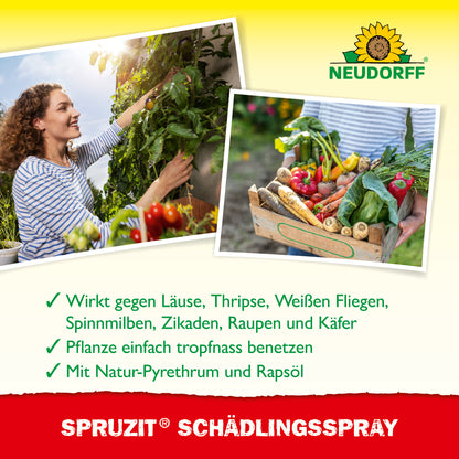 Spruzit SchädlingsSpray