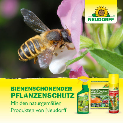 Spruzit SchädlingsSpray