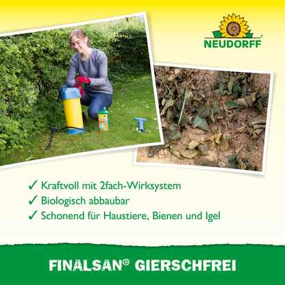 Finalsan GierschFrei