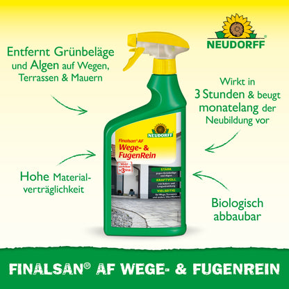 Finalsan AF Wege- & FugenRein