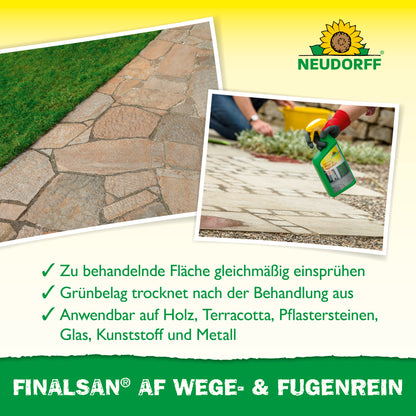 Finalsan AF Wege- & FugenRein