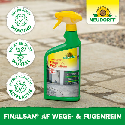 Finalsan AF Wege- & FugenRein