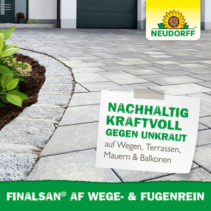 Finalsan AF Wege- & FugenRein