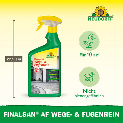Finalsan AF Wege- & FugenRein