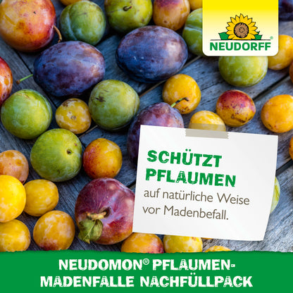 Neudomon PflaumenmadenFalle Nachfüllpack