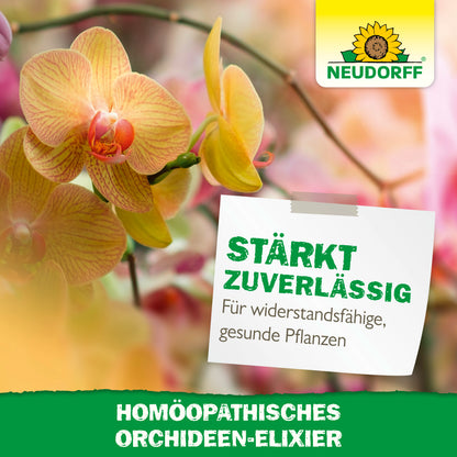 Homöopathisches Orchideen-Elixier