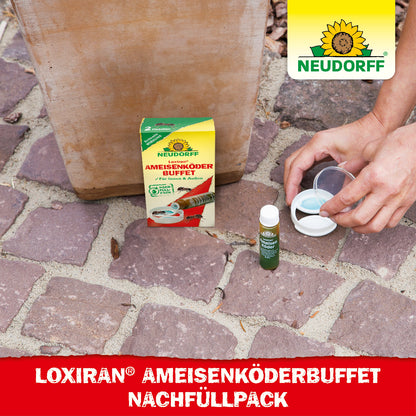Loxiran Ameisenköderbuffet Nachfüllpack