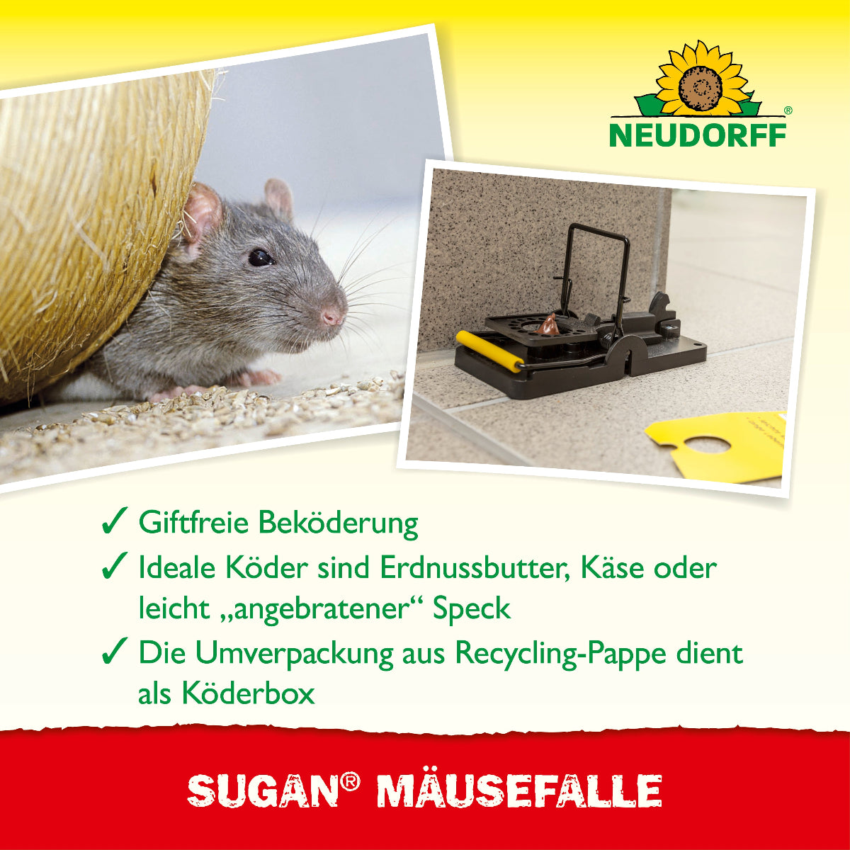 Sugan MäuseFalle: Mäuse ohne Giftköder fangen