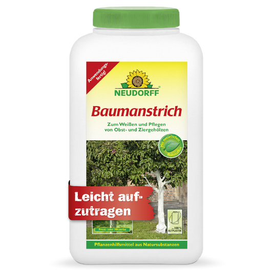 Baumanstrich