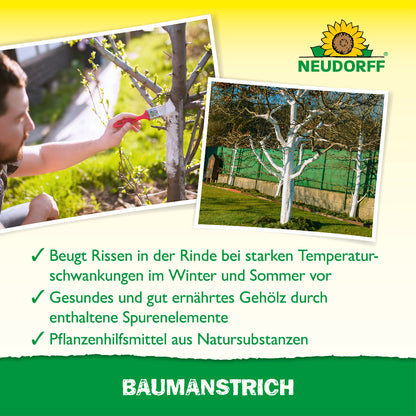 Baumanstrich