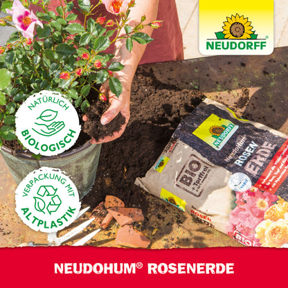 NeudoHum RosenErde