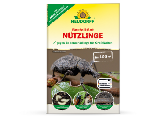 Bestell-Set Nützlinge für Großflächen