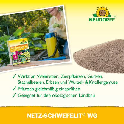 Netz-Schwefelit WG