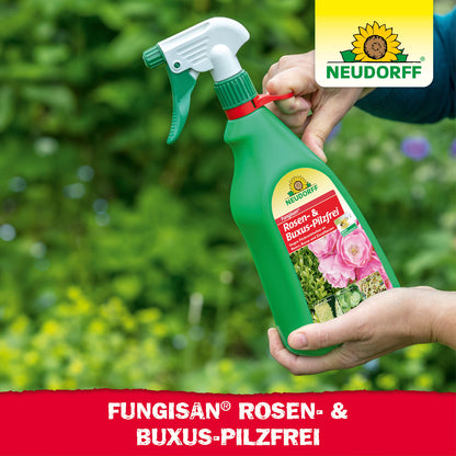 Fungisan Rosen- und Buxus-Pilzfrei