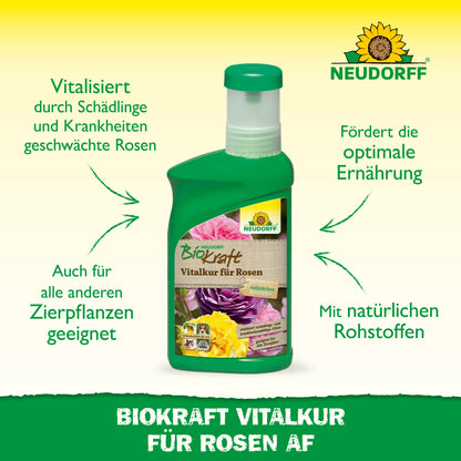 Neudorff BioKraft Vitalkur für Rosen