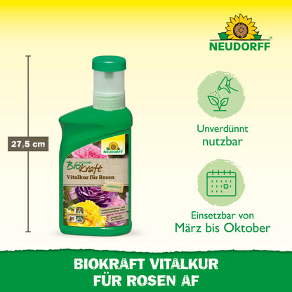 Neudorff BioKraft Vitalkur für Rosen