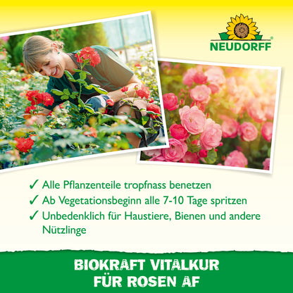 Neudorff BioKraft Vitalkur für Rosen