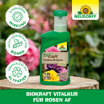 Neudorff BioKraft Vitalkur für Rosen