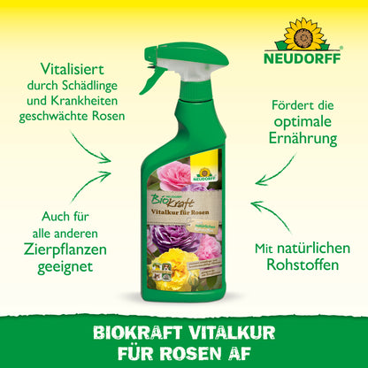 Neudorff BioKraft Vitalkur für Rosen AF