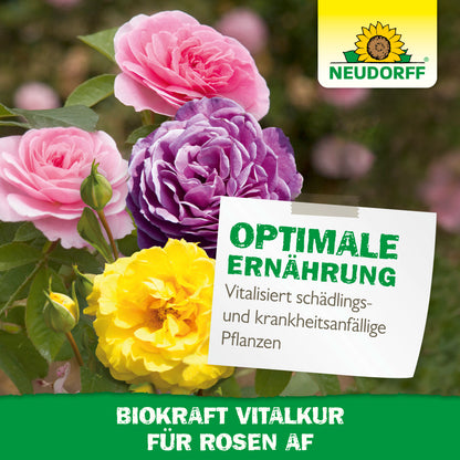 Neudorff BioKraft Vitalkur für Rosen AF