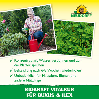 Neudorff BioKraft Vitalkur für Buxus & Ilex