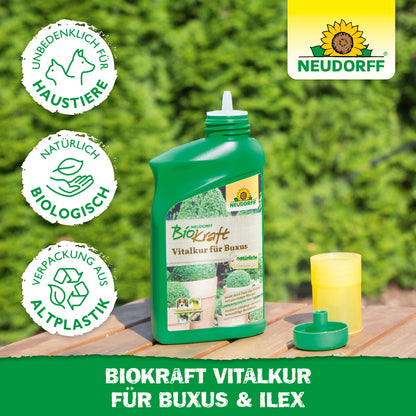 Neudorff BioKraft Vitalkur für Buxus & Ilex