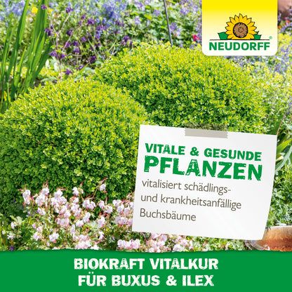 Neudorff BioKraft Vitalkur für Buxus & Ilex