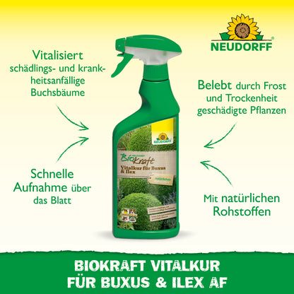 Neudorff BioKraft Vitalkur für Buxus & Ilex AF