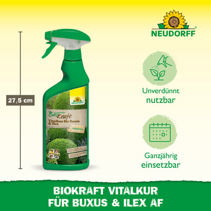 Neudorff BioKraft Vitalkur für Buxus & Ilex AF